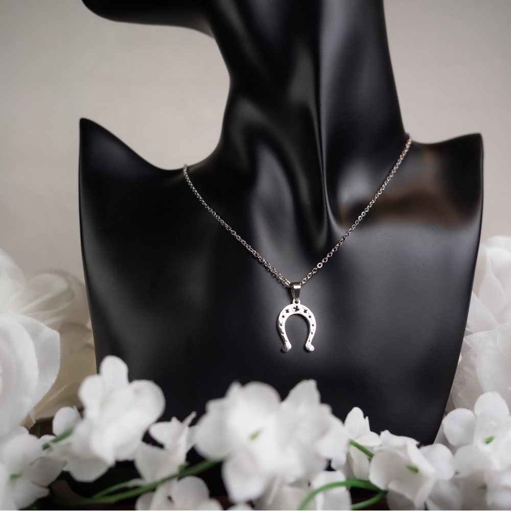 Horseshoe Set